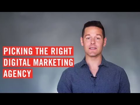  How To Hire The Right Digital Marketing Agency For Your Business