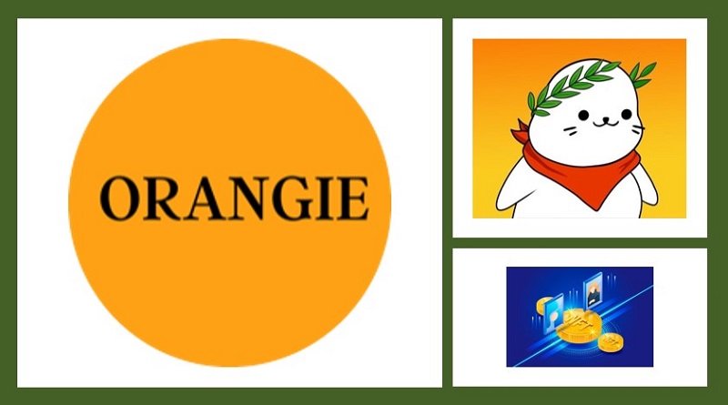  Orangie Setting Standards as an NFT Marketing Brand in the Developing Digital Ecosystem