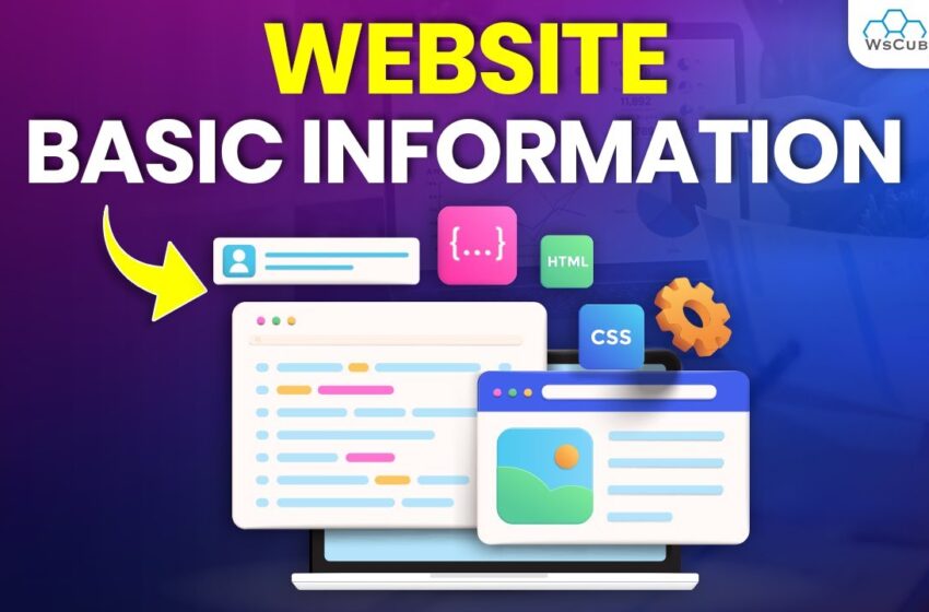  Website Basic Information according to SEO: Website Speed, Structure & More