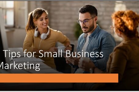 7 Tips for Small Business Marketing